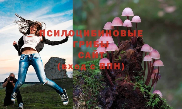 марки nbome Алексеевка