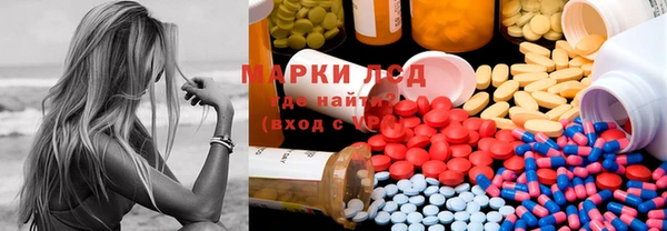 прущие грибы Алексин