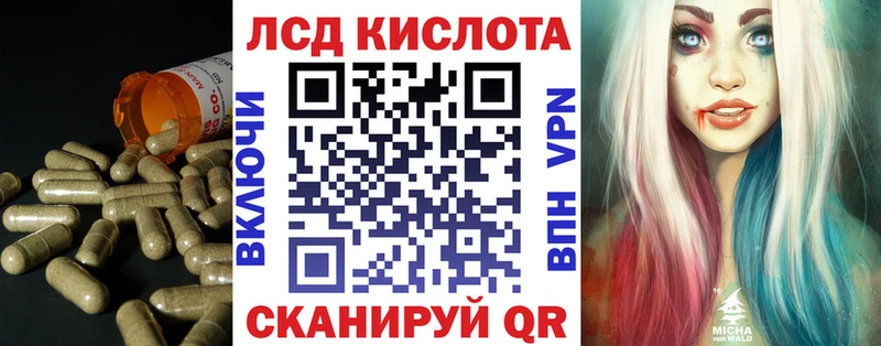 Купить закладки  Кедровый  Лсд 25 экстази кислота 